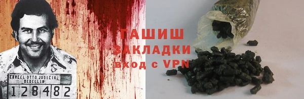 прущие грибы Щёлкино