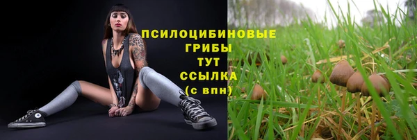 кокаин Щучье