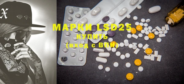 прущие грибы Щёлкино