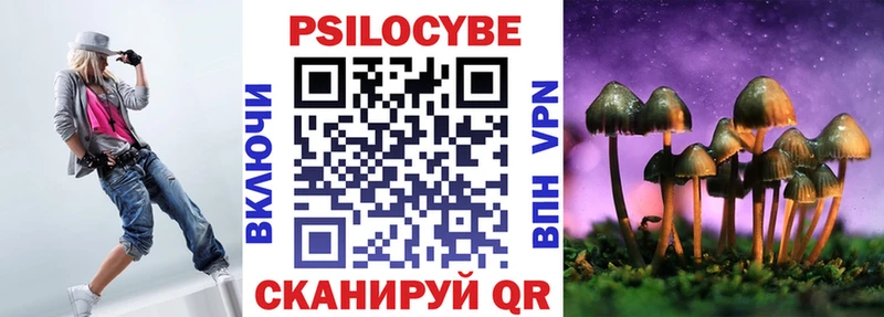 Галлюциногенные грибы Psilocybine cubensis  Купить где  Сусуман 